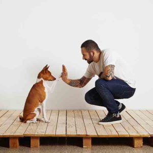 Dog Training Course