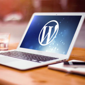 WordPress Diploma Level 3