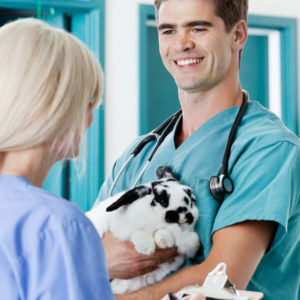 Animal Care Course