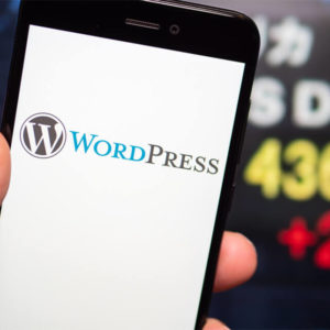 WordPress Blogging for Beginners