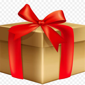 Lifetime Access to 1 Course