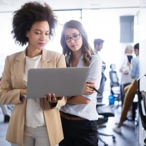 A Complete Bundle on Information Systems - 5 Course Bundle