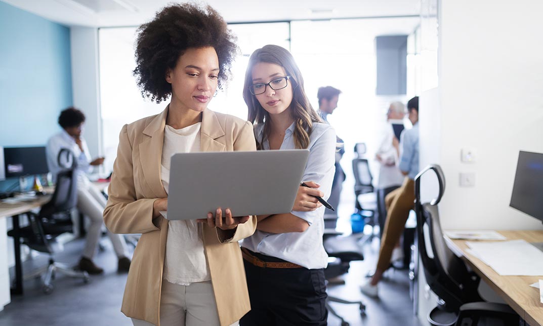 A Complete Bundle on Information Systems - 5 Course Bundle