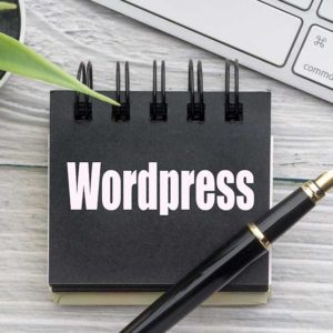 Specialised Training On WordPress 5 Course Bundle