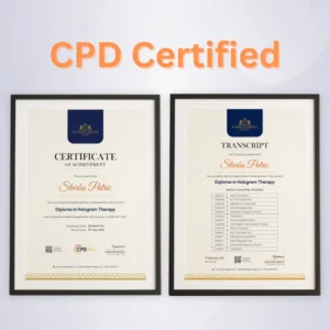 Original Hardcopy Certificate + Hardcopy Transcript