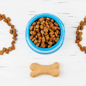 Complete Raw Diet for Dog – CPD QS Certified Course