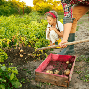 Biodynamic Farming and Gardening