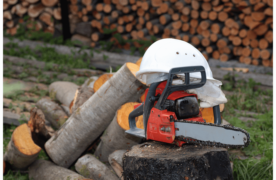 Chainsaw Safety Training