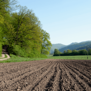 Sustainable Agriculture in the UK