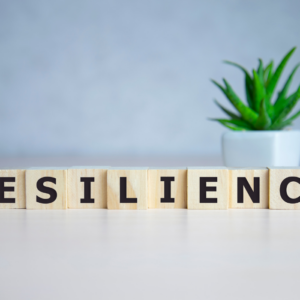 Resilience Training