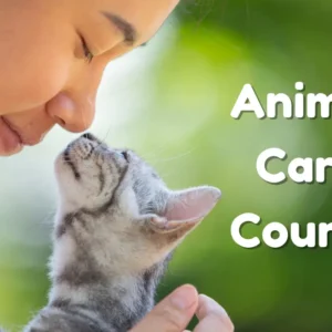 Animal Care Course