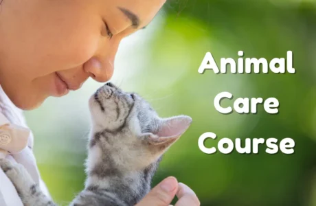 Animal Care Course